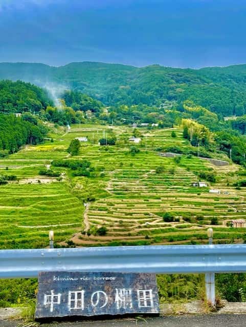 中田の棚田　圧縮
